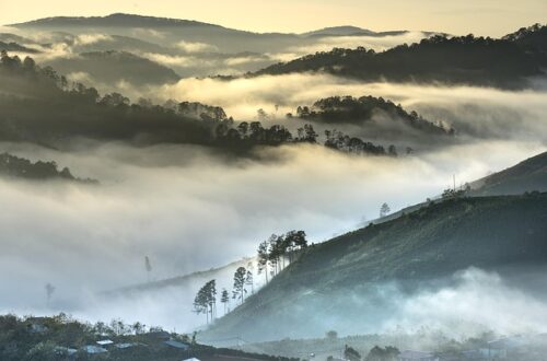 Miljøet betaler prisen: Black fridays mørke bagside