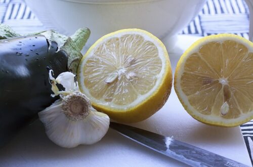 Glem alt om manuel presning - oplev effektivitet med Gefu citronpresser