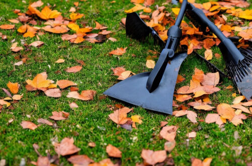 Løvblæser vs. rive - hvilket værktøj er bedst til din have?